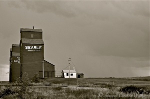 Alberta Prairie