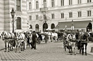 Cariage trade in Vienna