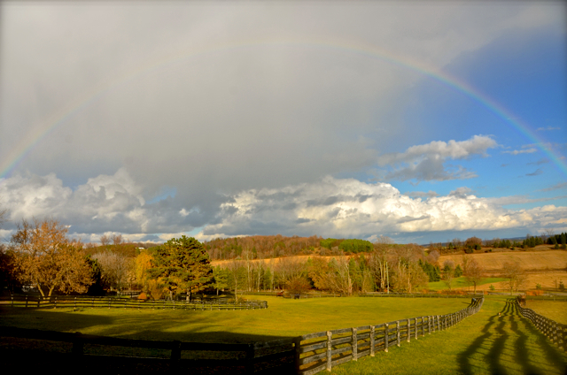 Under the Rainbow